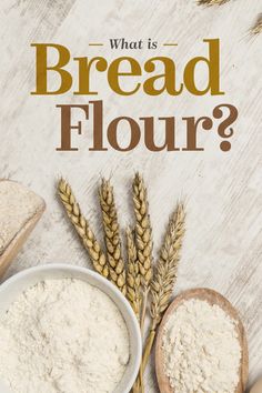 what is bread flour? and how to use it