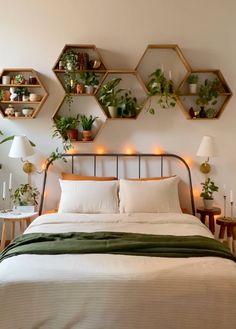 a bed with lots of plants on the shelves above it