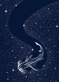 a drawing of a dragon flying through the night sky with stars in the back ground