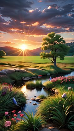 a painting of a beautiful sunset over a small pond in the middle of a green field