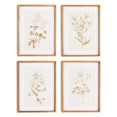 four framed floral prints on white paper with gold trimmings, each featuring three different types of wildflowers