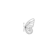 a line drawing of a butterfly on a white background