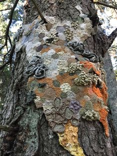 the bark of a large tree covered in crochet