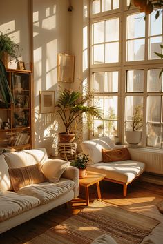 a living room filled with lots of furniture next to large windows and potted plants