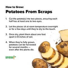 potatoes with the words how to grow potatoes from scraps written below on top of them