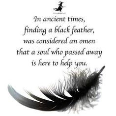 Law Of Attraction Quotes, Practical Magic, Black Feathers, Spirit Guides, Spell Book, Anthropology