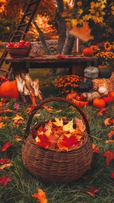 a basket filled with leaves sitting on top of a lush green field next to pumpkins