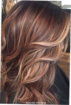 25 Vibrant Curly Hair Color Ideas for a Stunning Makeover Copper Blonde Highlights, Sandy Brown Hair, Brown To Blonde Balayage, Chestnut Brown Hair, Rambut Brunette, Copper Blonde, Blond Balayage, Brown Hair With Blonde Highlights, Brown Hair Balayage