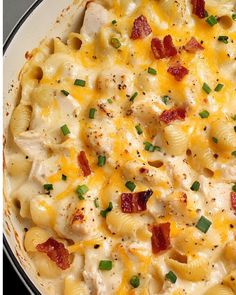 Crack Chicken Casserole Frozen Shredded Chicken Recipes, Best Chicken Casserole Ever, Cooked Chicken Casserole Recipes, Rotisserie Chicken Dinner Recipes, Rotisserie Chicken Casserole Recipes, Rotisserie Chicken Casserole, Chicken Noodle Bake, Best Chicken Casserole, Smothered Pork Chops Recipe