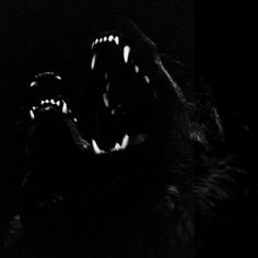 a black and white photo of a dog with its mouth wide open in the dark