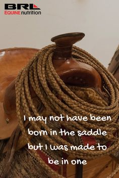 there is a rope on top of a horse's bridle with the words, i may not have been born in the saddle but i was made to be one