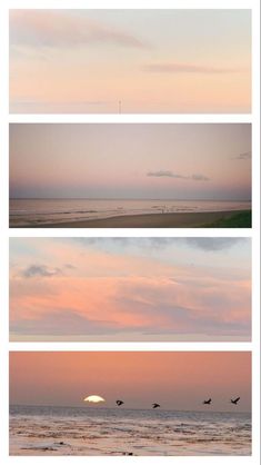 birds flying over the ocean at sunset or sunrise in three different pictures, each with their own silhouette