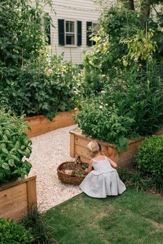 Raised Garden Beds Next To House, Vegetable Garden And Chicken Coop, Fruit And Vegetable Garden Design, Deck Vegetable Garden, Small Backyard Garden, Residence Landscape, Landscaping Projects, Box House, Future Garden