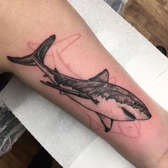 a shark tattoo on the arm