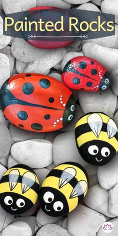 three painted rocks with ladybugs on them and the words painted rocks written below