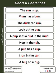 short u sentences worksheet for kids with pictures and words in english language