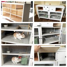 several pictures of different types of shelves with animals in them, including a hamster