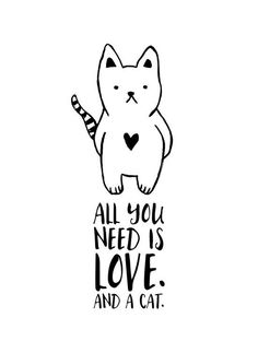 a drawing of a cat with the words all you need is love and a cat