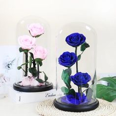 three blue roses are under a glass dome