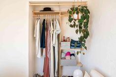 a closet with clothes and shoes hanging on the wall next to a plant in a pot