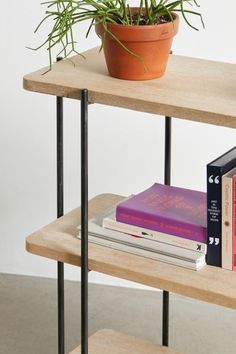 two books and a potted plant on a shelf