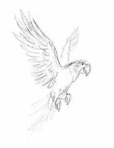 a drawing of a bird flying in the air with its wings spread out and it's beak open