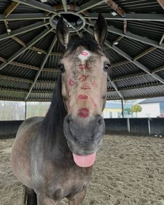 a horse with its tongue out standing under a roof covered in dirt and sticks it's tongue out