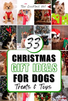 christmas gift ideas for dogs that are too cute to have in the house or at home