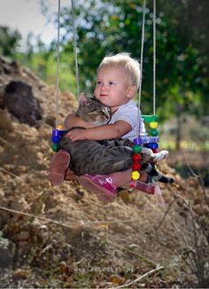 a little boy sitting on a swing with a cat in his lap and caption that reads, best friends don't need to be the same species