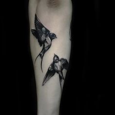 Swallow Birds Tattoo, Three Little Birds Tattoo, Birds Tattoo, 3 little birds tattoo, birds tattoo on arm, feather with birds tattoo, two birds tattoo, three birds tattoo, 3 birds tattoo, flock of birds tattoo, japanese birds tattoo, family 3 birds tattoo, love birds tattoo, flying birds tattoo, birds tattoo meaning, little birds tattoo, 3 birds tattoo meaning, tree with birds tattoo, color birds tattoo, 2 birds tattoo, small birds tattoo, black birds tattoo, birds tattoo ideas