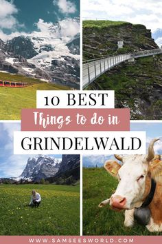 the top 10 things to do in grindewwald