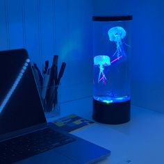 a laptop computer sitting on top of a desk next to a jellyfish tank lamp