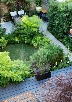 a garden with lots of green plants in it