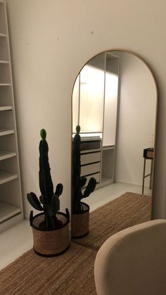 a room with a mirror, chair and cactus plant in it on the floor next to a shelf