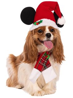 Mickey Mouse Pet Santa Hat and Scarf - costumes.com Mickey Mouse Costume, Disney Costume, Mickey Mouse Hat, Disney Theme Party, Friends Holiday, Hat And Scarf Set, Mouse Costume, Hat And Scarf Sets, Mickey Mouse Ears