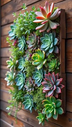 a vertical succulent wall hanging on the side of a building