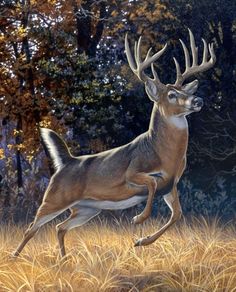 a painting of a deer running through the grass