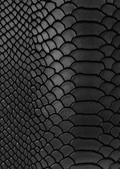 black snake skin textured up against a white background with the light coming through it