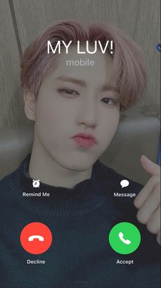 Jisung Stray Kids Quokka Wallpaper Skz, Quokka Wallpaper, Call Wallpaper, Straykids Jisung, Fake Call, Jisung Stray Kids, Han Quokka