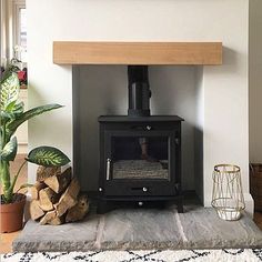 a wood burning stove in a living room next to a potted houseplant