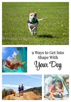 a collage of photos with the words, ways to get into shape with your dog