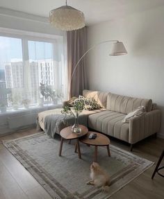 a living room with a couch, coffee table and rug in front of a large window