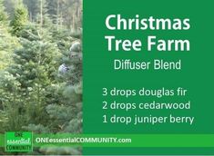 25+ Best Christmas Diffuser Blends #winterdiffuserblends Love that this has many of my favorite Christmas diffuser blends all in one place- Gingerbread Man, Candy Cane Surprise, Holiday Joy, Christmas Tree Forest, All Is Calm, and many more of my favorites! #essentialoils #essentialoilrecipes #diffuserblends #diffuserrecipes #essentialoilsforChristmas #Christmasdiffuserblends #essentialoilDIY #essentialoilrecipesforChristmas One Essential Community, Christmas Diffuser Blends, Doterra Diffuser Blends, Oil Remedies, Essential Oil Diffuser Recipes, Oil Diffuser Recipes, Diffuser Blend, Diffuser Recipes, Essential Oil Diffuser Blends