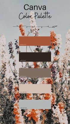 the color palette for canva's garden