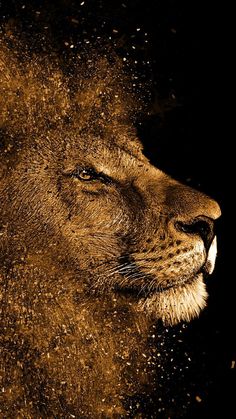 a close up of a lion's face on a black and white background with yellow speckles