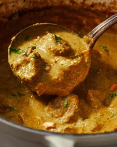 a ladle full of curry with meat in it