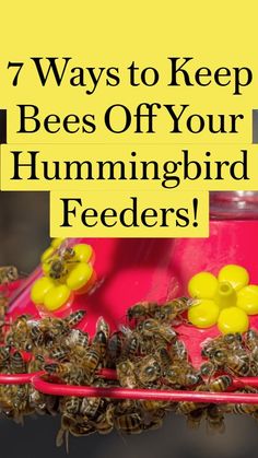 a bunch of bees that are sitting on a red rack with the words, 7 ways to keep bees off your hummingbird feeders