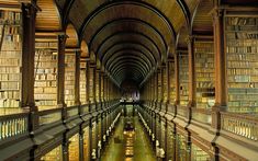 an empty library filled with lots of books