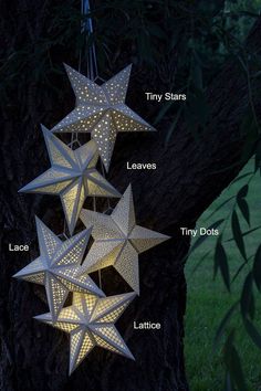 the different types of stars hanging from a tree