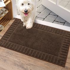 a small white dog is standing on the door mat